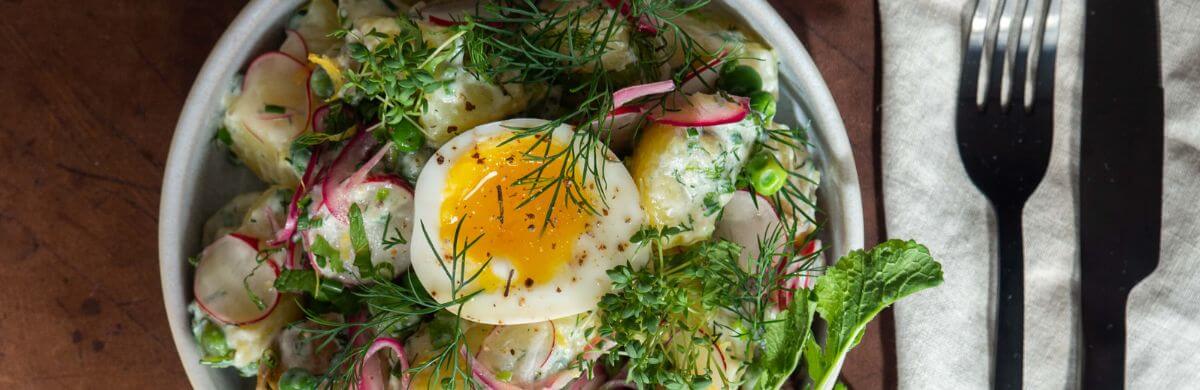 Kartoffelsalat mit Joghurt und Kräutern Rezept, Wunschleder