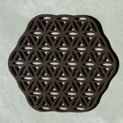 braun